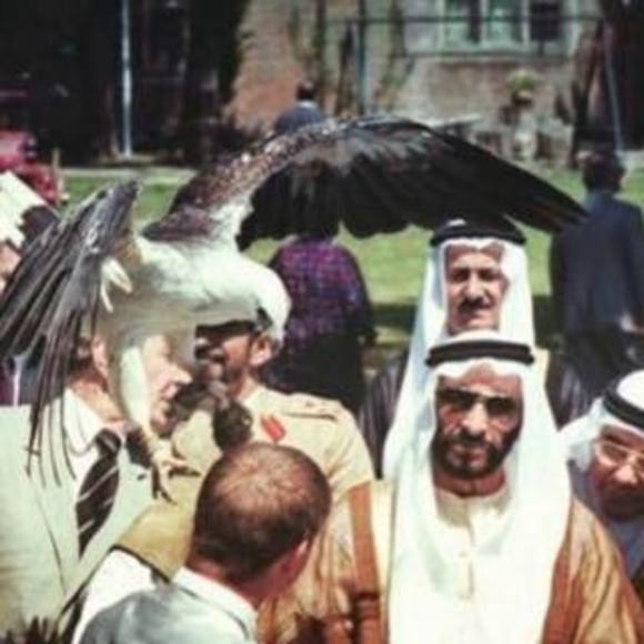 Meet your Posher, Mayed - Picture 1 of 1