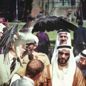 Meet your Posher, Mayed