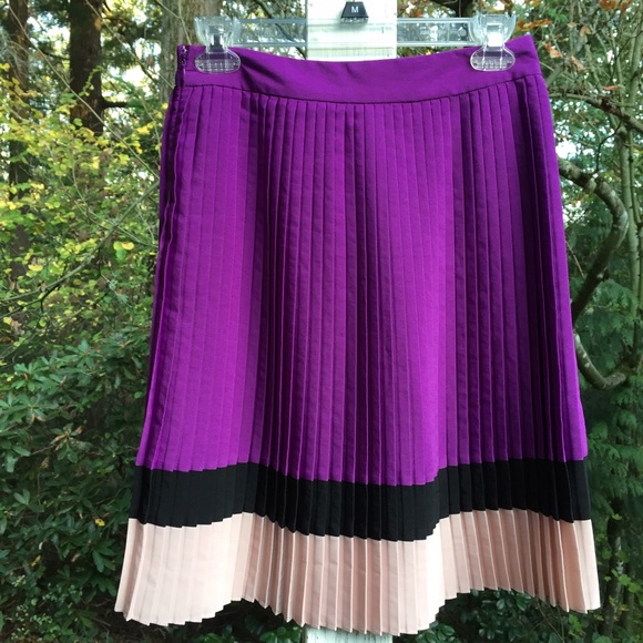 PRETTY PLEATED SKIRT Sz XS Black Magenta Blush NWT