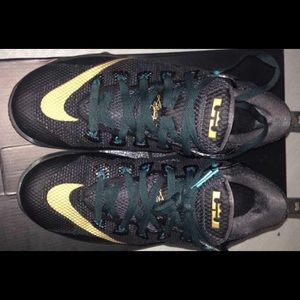 Lebron 12 "carbon fiber" shoe