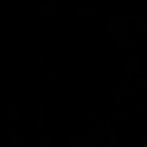 Meet your Posher, Trevor