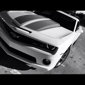 Meet your Posher, Jerry