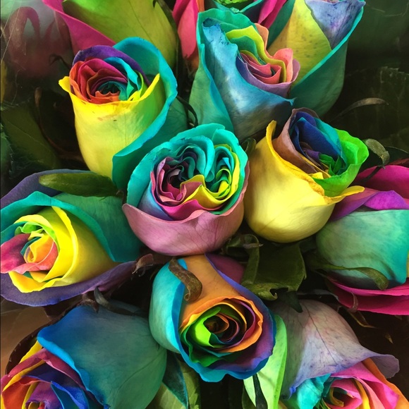 Meet your Posher, Alison