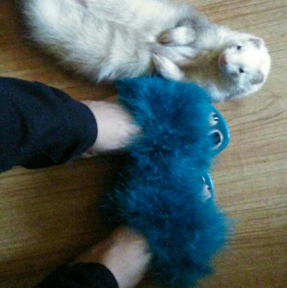 𝗟𝗮𝘀𝘁 𝗦𝗶𝘇 6🖤Turquoise Feather Flat Sandal - Picture 5 of 6