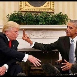 Meet your Posher, Donnell