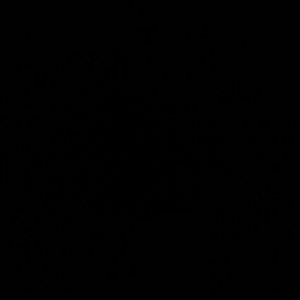 Meet your Posher, Donnesha