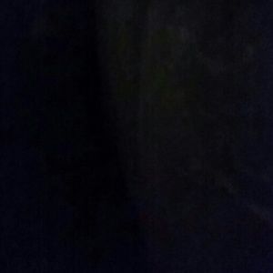 Meet your Posher, Jayla