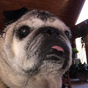 Meet your Posher, Nanette