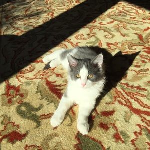 Meet your Posher, Kimberlee