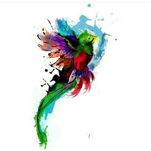 Meet your Posher, Mros