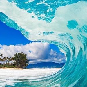 Meet your Posher, Aj