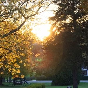 Meet your Posher, Ayden