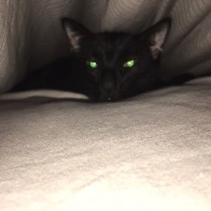 Meet your Posher, Marie