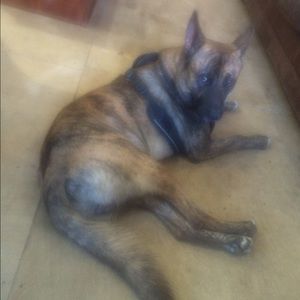 Meet your Posher, Tia