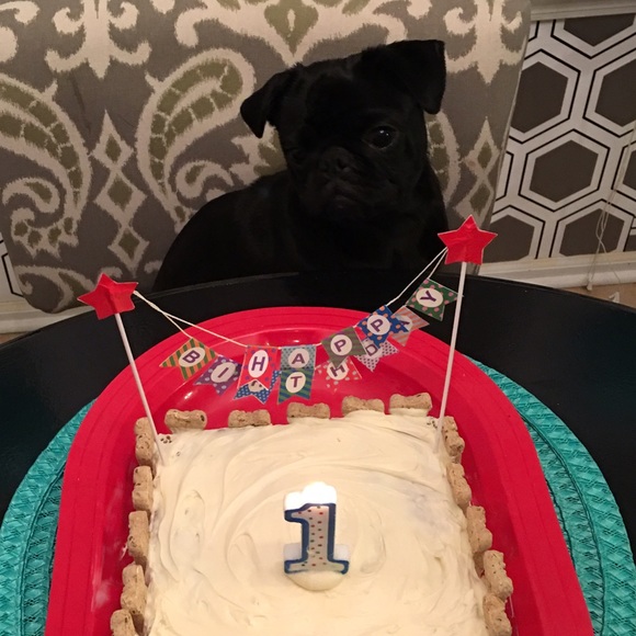 Meet your Posher, Alma - Picture 1 of 1