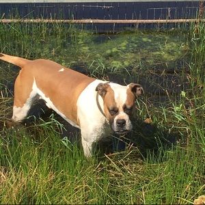 Meet your Posher, Lindsay