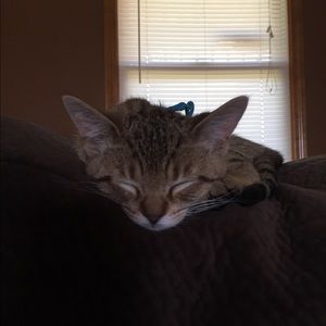 Meet your Posher, Alex