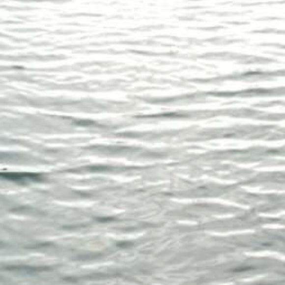 Meet your Posher, Jason - Picture 1 of 1