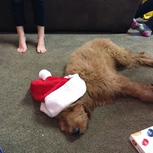 Meet your Posher, Janel