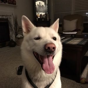 Meet your Posher, Debra