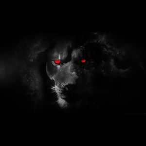 Meet your Posher, Caleb