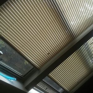 Meet your Posher, Felecia