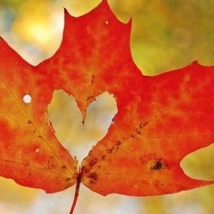 Meet your Posher, Jane