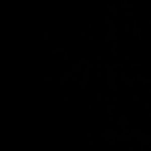 Meet your Posher, Lacourtlyn