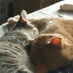 Meet your Posher, Rebecca