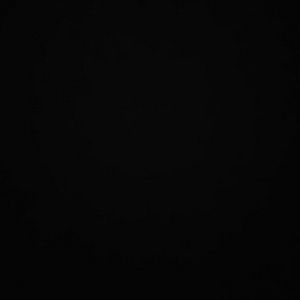 Meet your Posher, Reginald