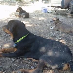 Meet your Posher, Caryn