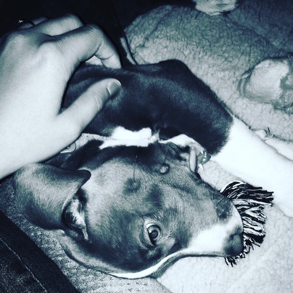 Meet your Posher, John - Picture 1 of 1