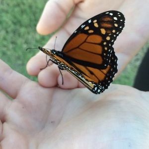 Meet your Posher, Ella