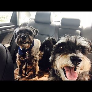 Meet your Posher, Lisa