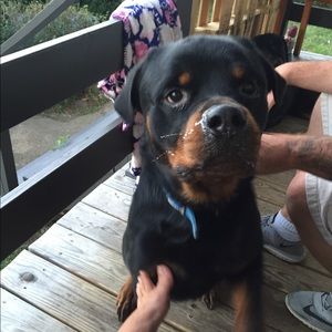 Meet your Posher, Tiffanie