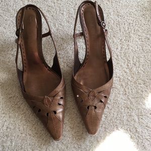 Goldfish brown heels