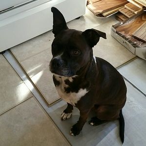 Meet your Posher, Crystal