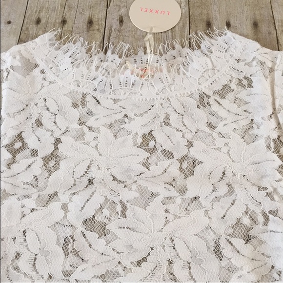 White Lace Crop Top - Picture 4 of 4