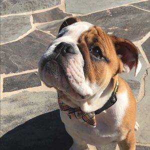 Meet your Posher, Claire