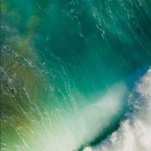 Meet your Posher, Daeton