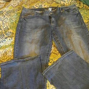 Maurices bootcut jeans