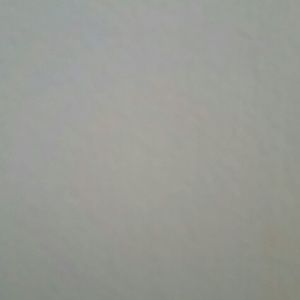 Meet your Posher, Pansy