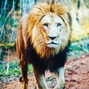 Meet your Posher, Nilson