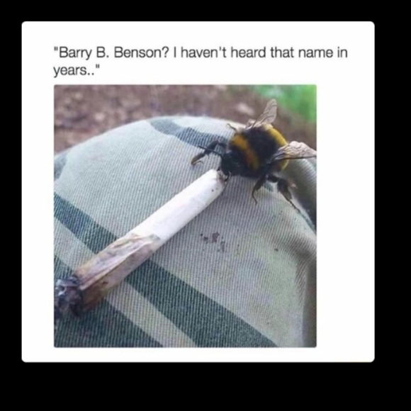 Meet your Posher, Josh - Picture 1 of 1