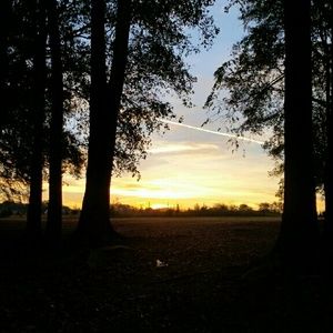 Meet your Posher, Rita