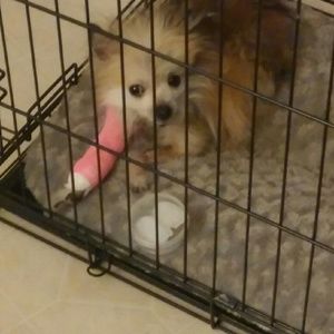 Meet your Posher, Teresa