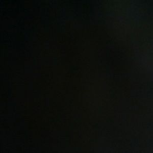 Meet your Posher, Ray