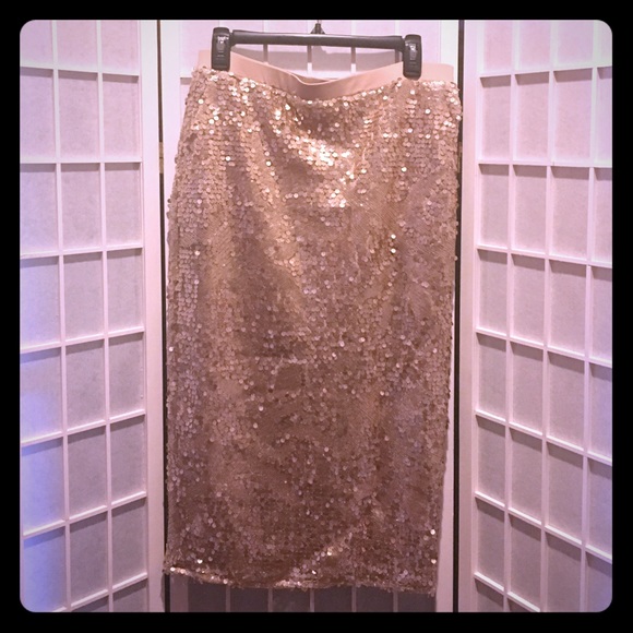 Champagne Sequin Skirt