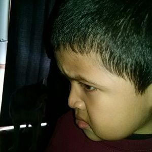 Meet your Posher, Rose