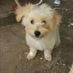 Meet your Posher, Charez